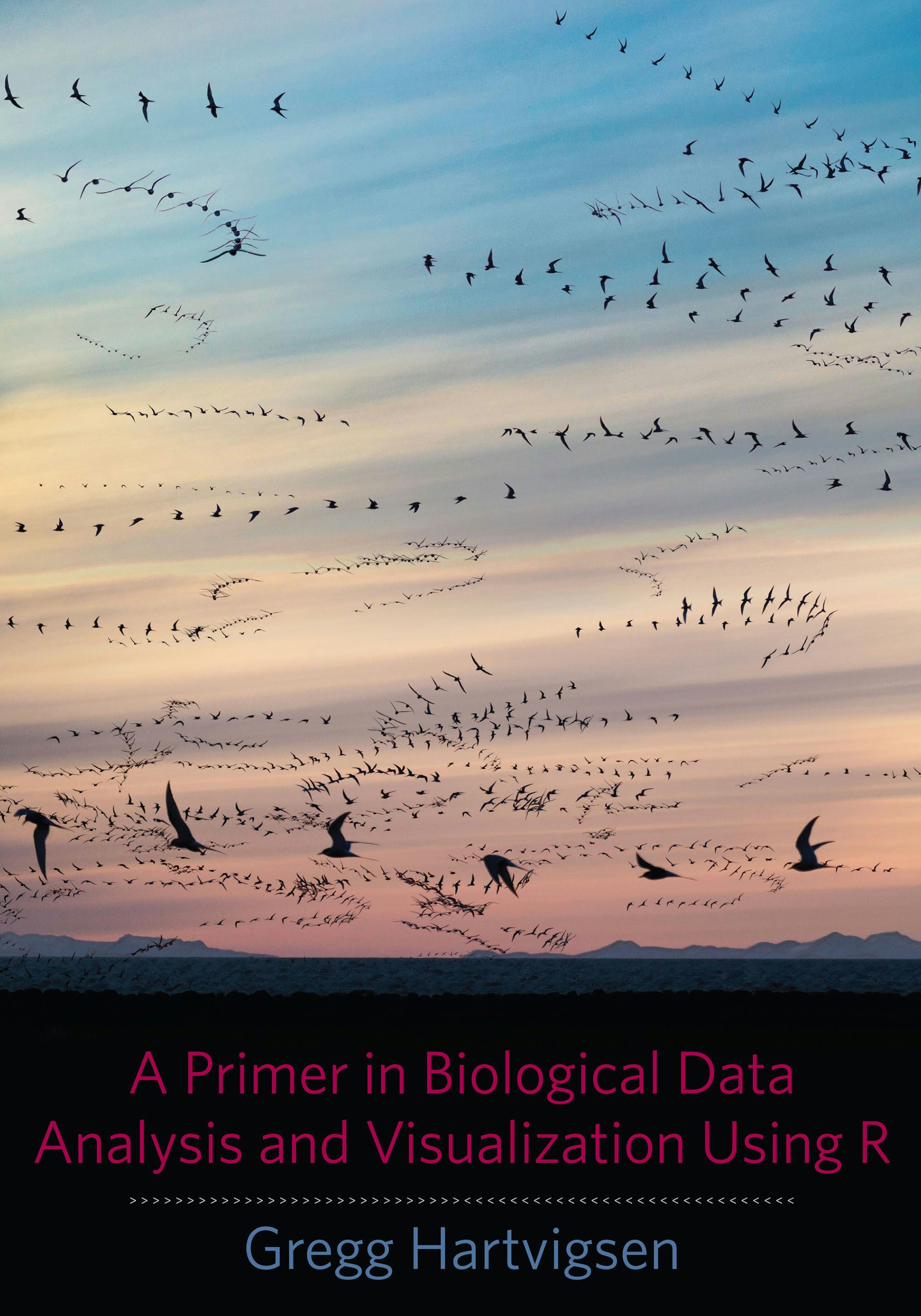 Book cover image for A Primer in Biological Data Analysis and Visualization Using R ISBN: 9780231166980